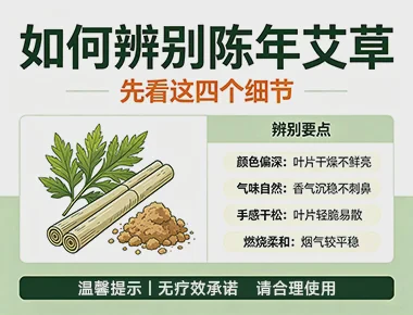 如何辨别陈艾？四个实用方法轻松判断
